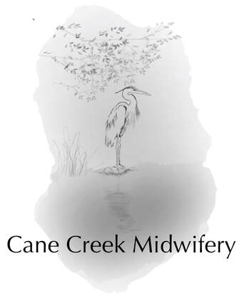 CANE CREEK MIDWIFERY